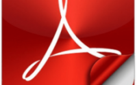 Adobe Acrobat Pro DC 2024.002.20965 cRACK