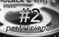 Franzis BLACK & WHITE Video 2 Professional 2.25.04078 Crack