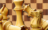 Chess King Crack